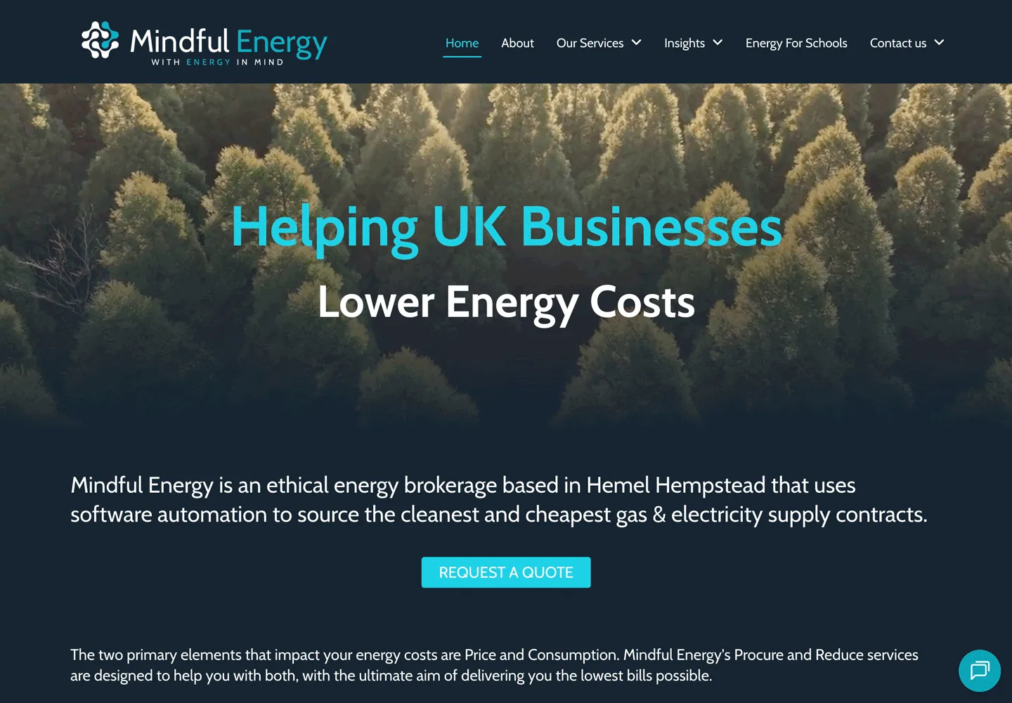 The Mindful Energy website